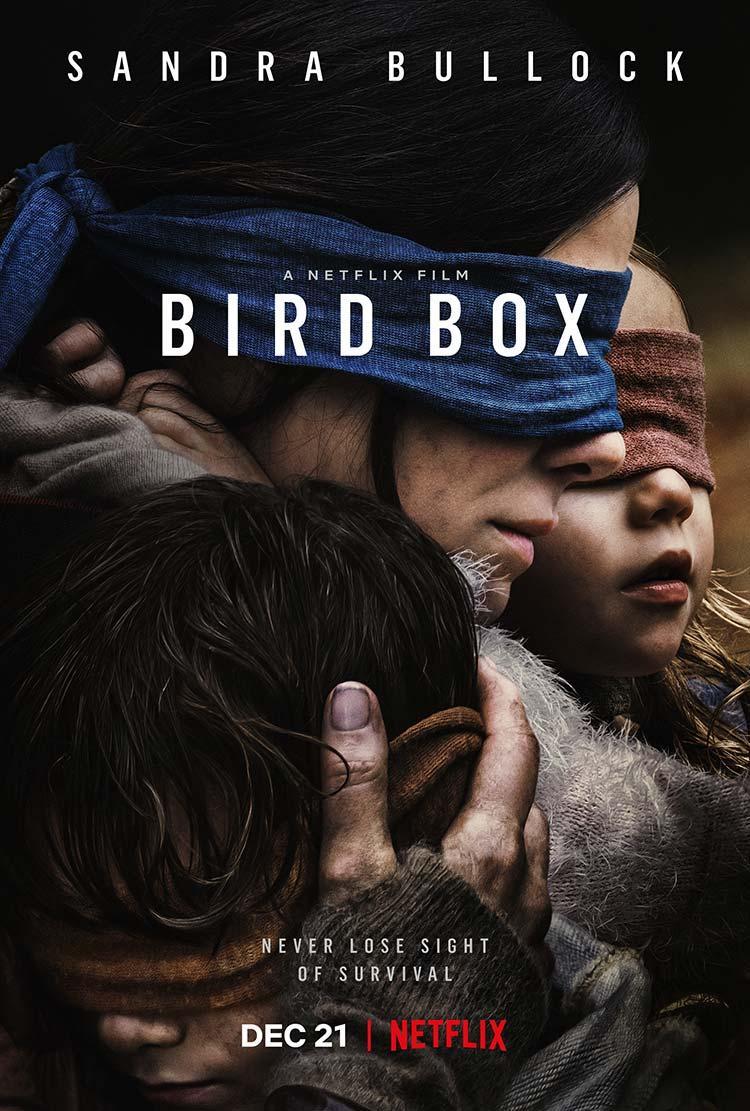 Imagen de Pelicula Bird Box