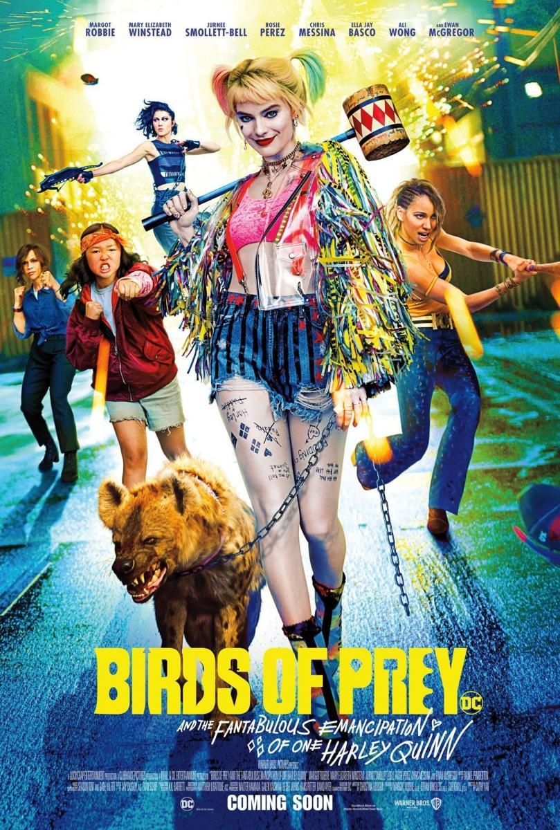 Imagen de Pelicula Aves de presa